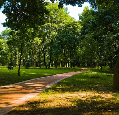 Schattiger Weg Im Park